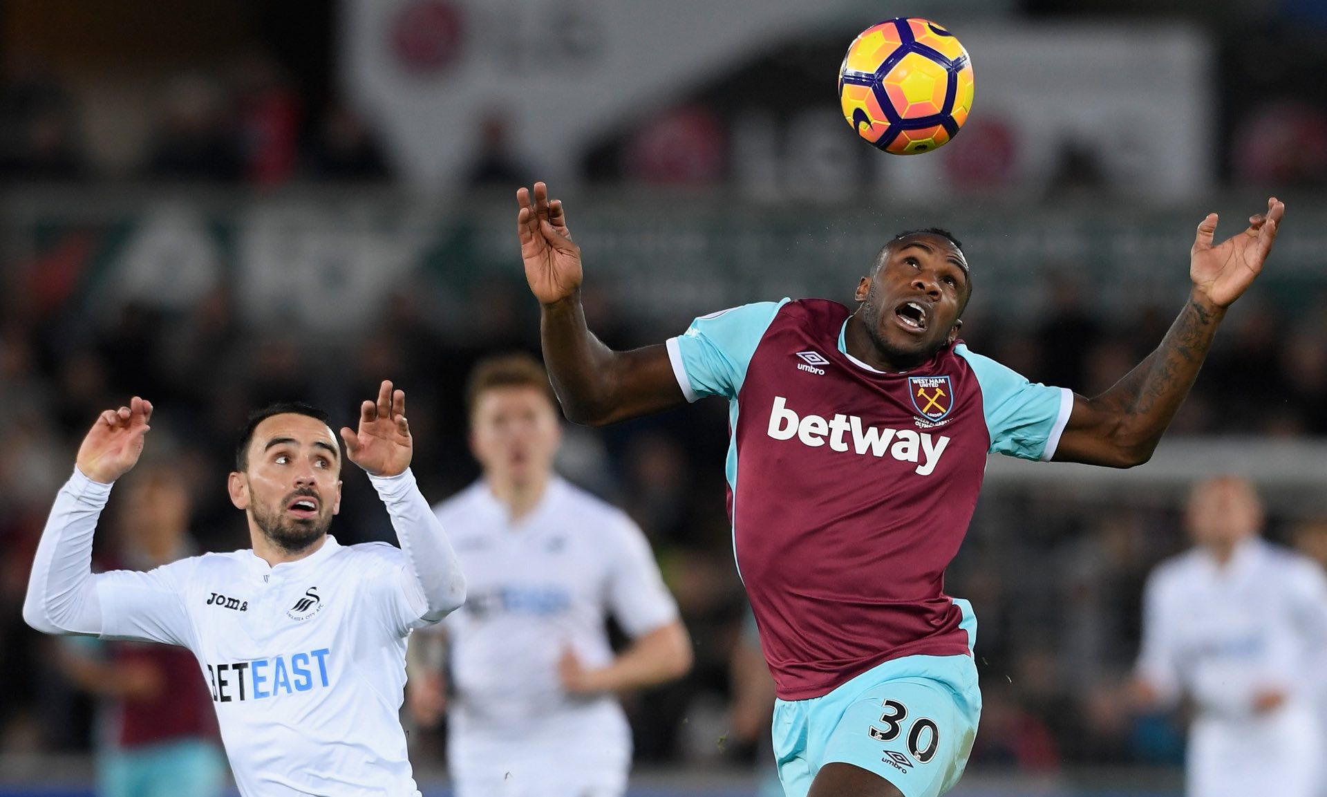 澳大利亚 澳大利亚